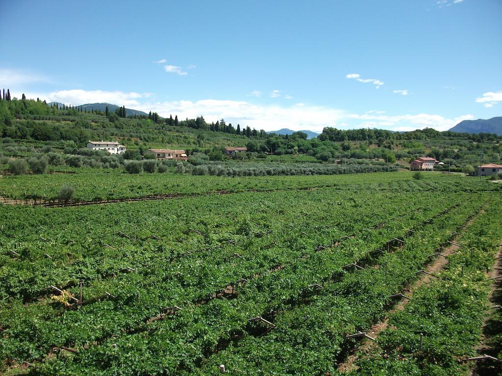 Agriturismo La Rocca Bardolino Exterior photo