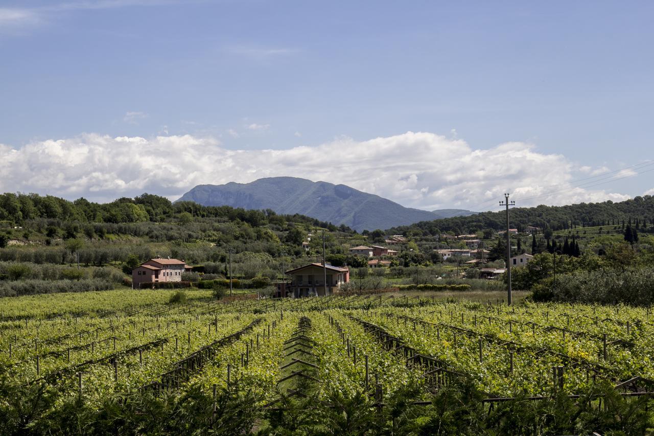 Agriturismo La Rocca Bardolino Exterior photo